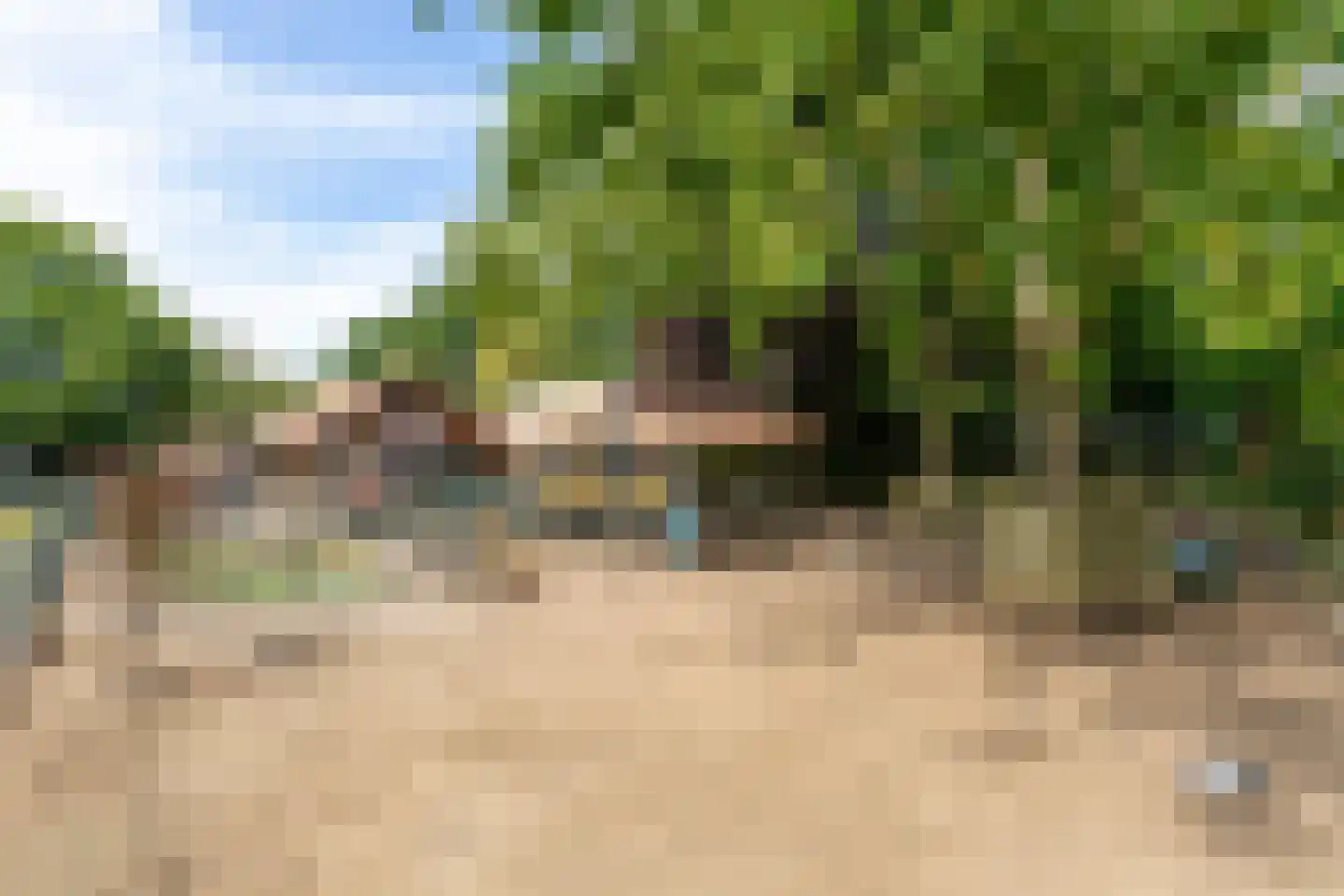 Agaatborch 12 Rosmalen thumbnail 38