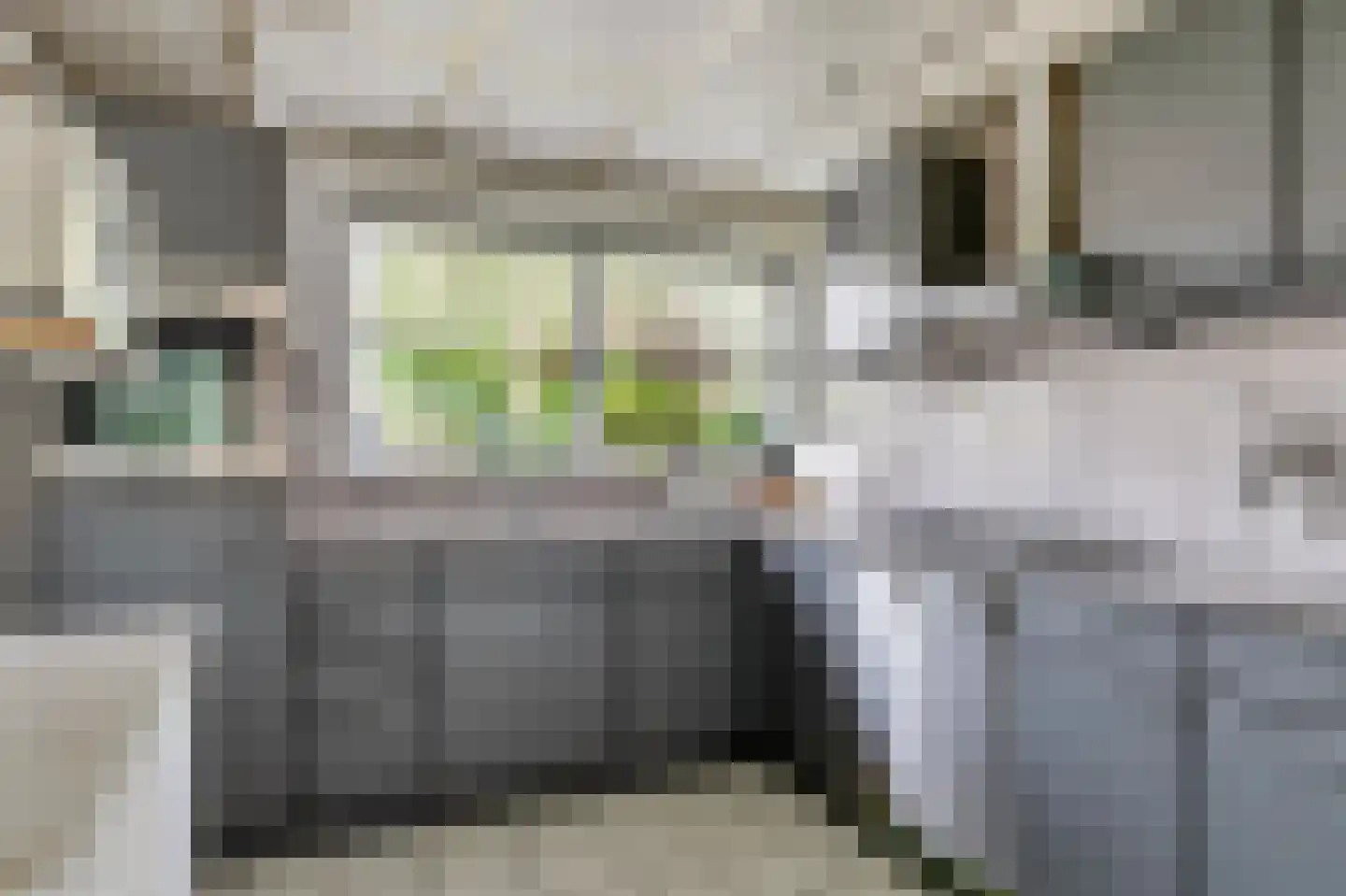Agaatborch 12 Rosmalen thumbnail 5