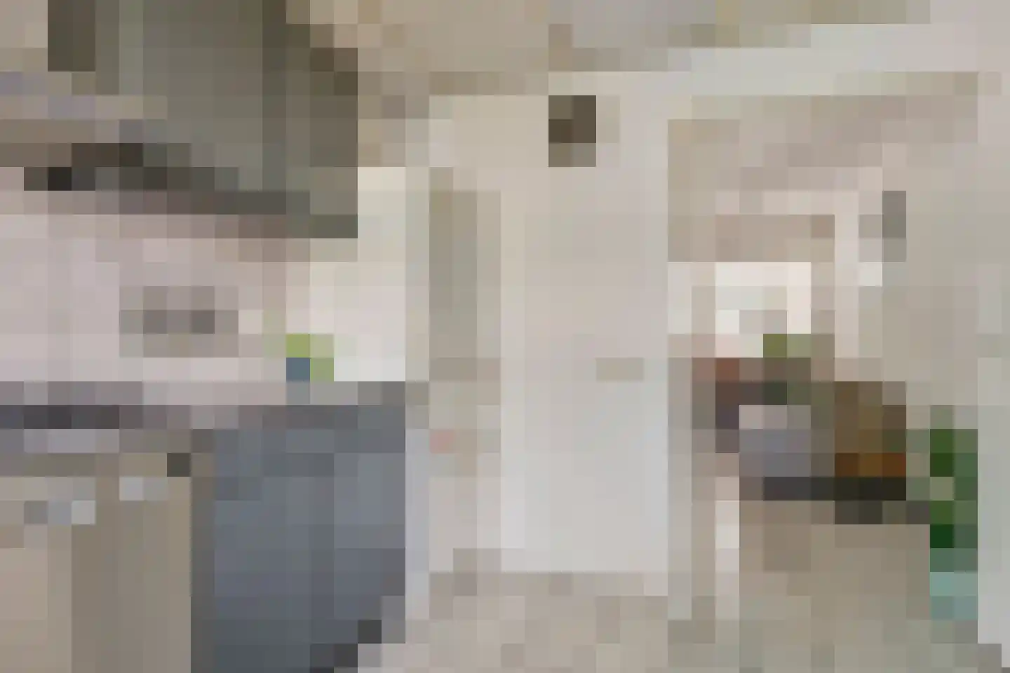 Agaatborch 12 Rosmalen thumbnail 7
