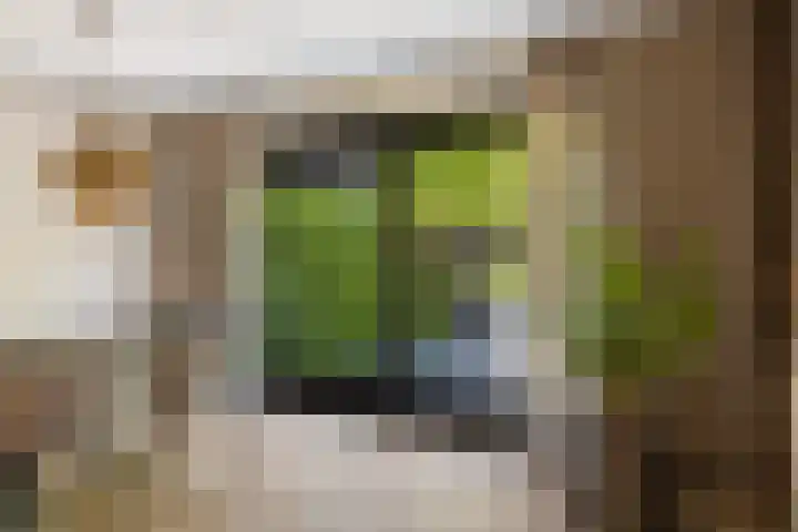 Agaatdreef 14 Emmen thumbnail 11