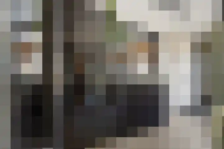 Agaatdreef 14 Emmen thumbnail 15