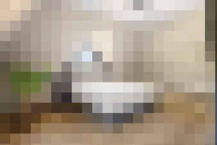 Agaatdreef 14 Emmen thumbnail 22