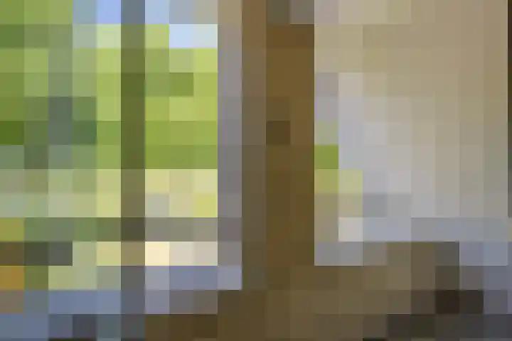Agaatdreef 14 Emmen thumbnail 24