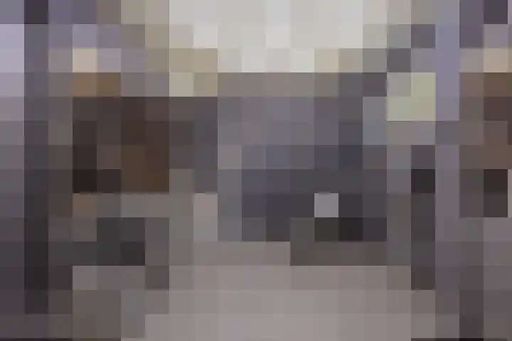 Agaatdreef 14 Emmen thumbnail 27