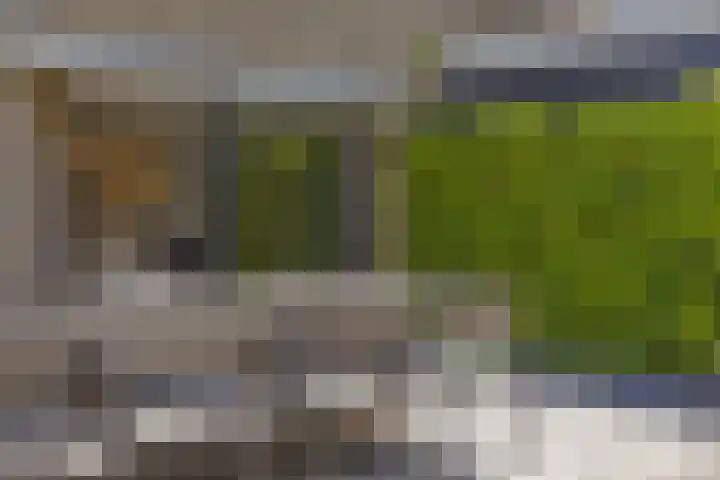 Agaatdreef 14 Emmen thumbnail 30