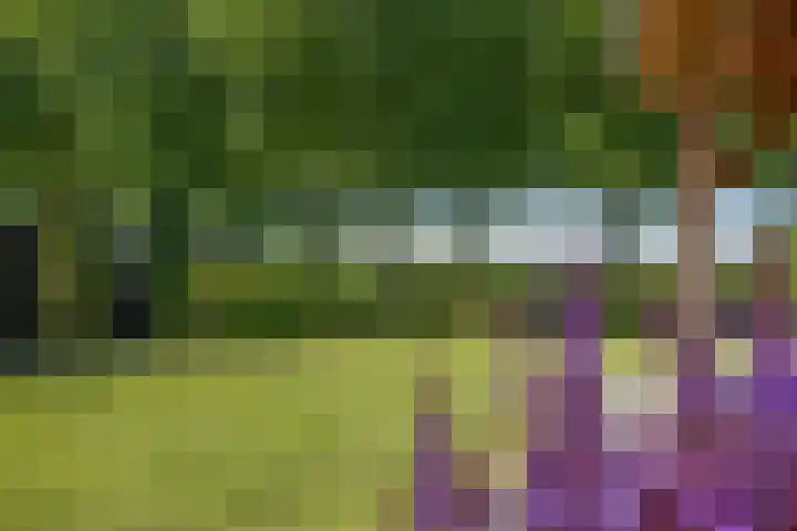 Agaatdreef 14 Emmen thumbnail 31