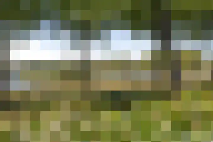 Agaatdreef 14 Emmen thumbnail 32