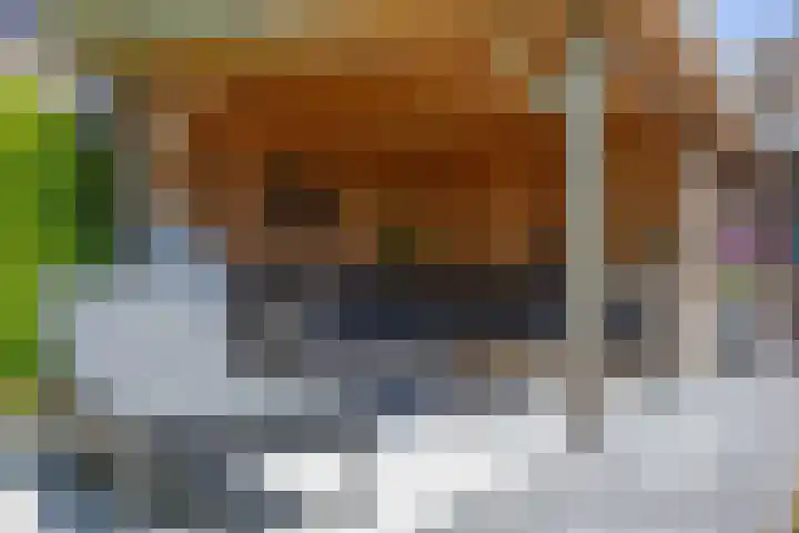 Agaatdreef 14 Emmen thumbnail 35