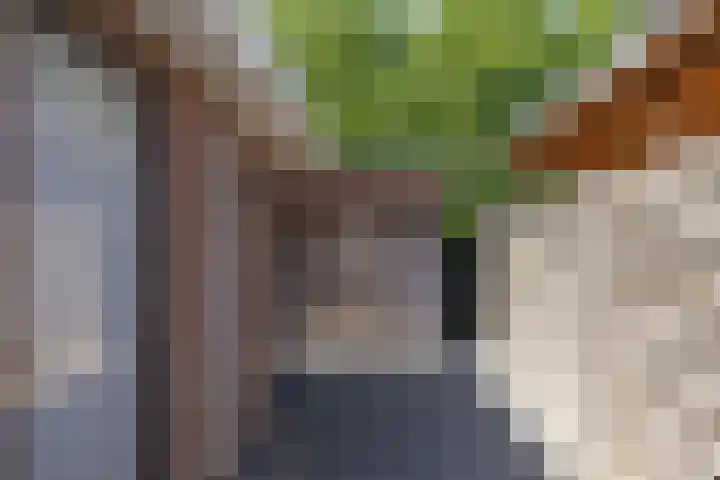 Agaatdreef 14 Emmen thumbnail 37