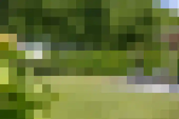 Agaatdreef 14 Emmen thumbnail 38