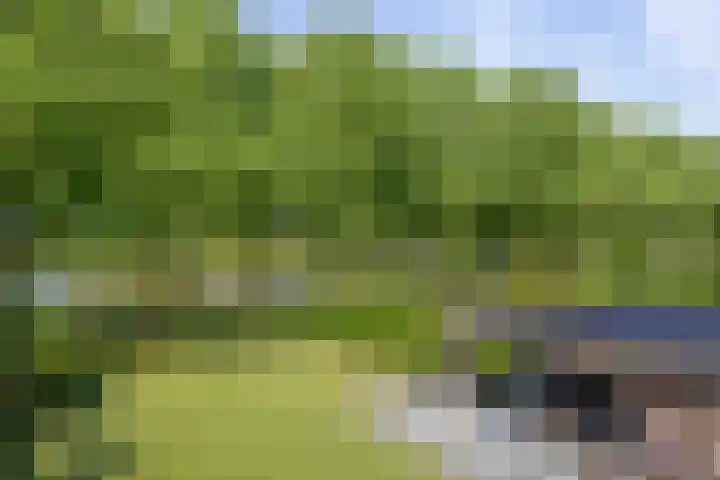 Agaatdreef 14 Emmen thumbnail 39
