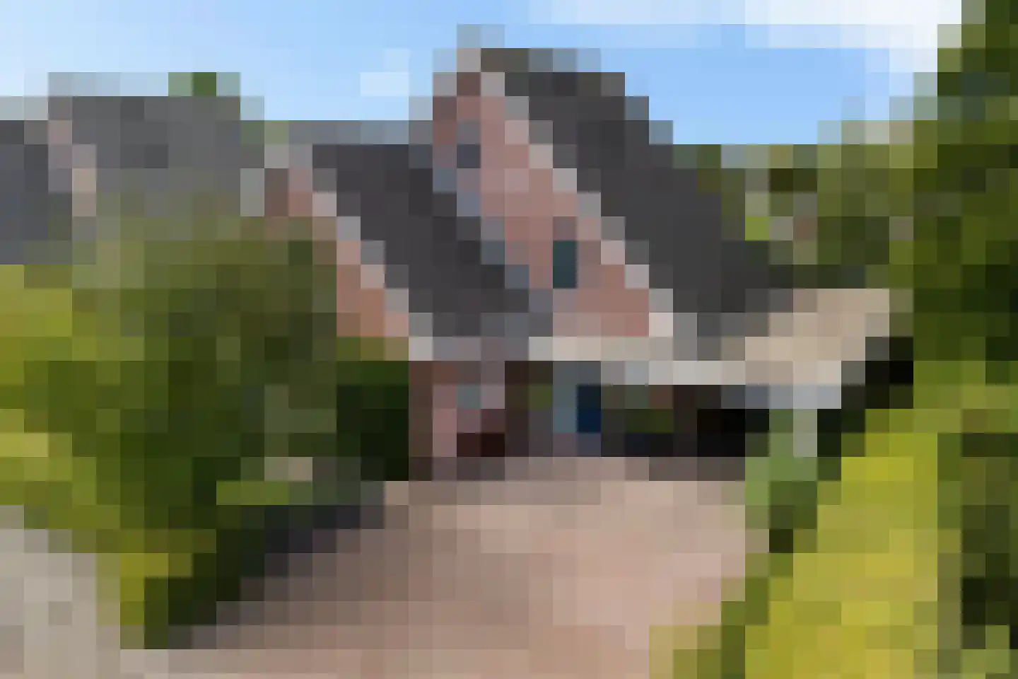 Agaatdreef 21 Emmen
