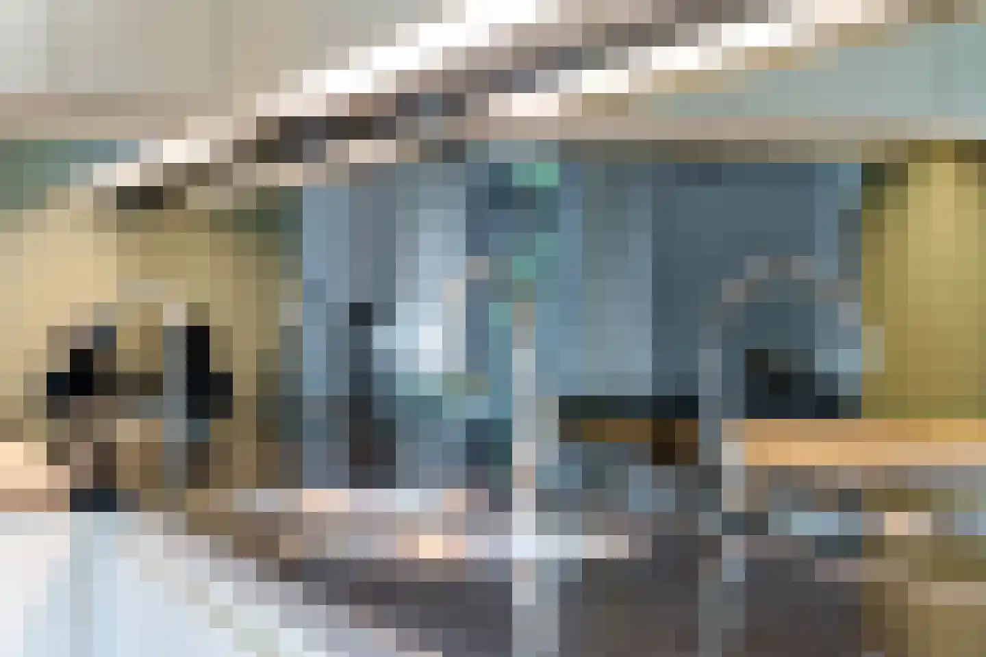 Agaatdreef 21 Emmen thumbnail 15