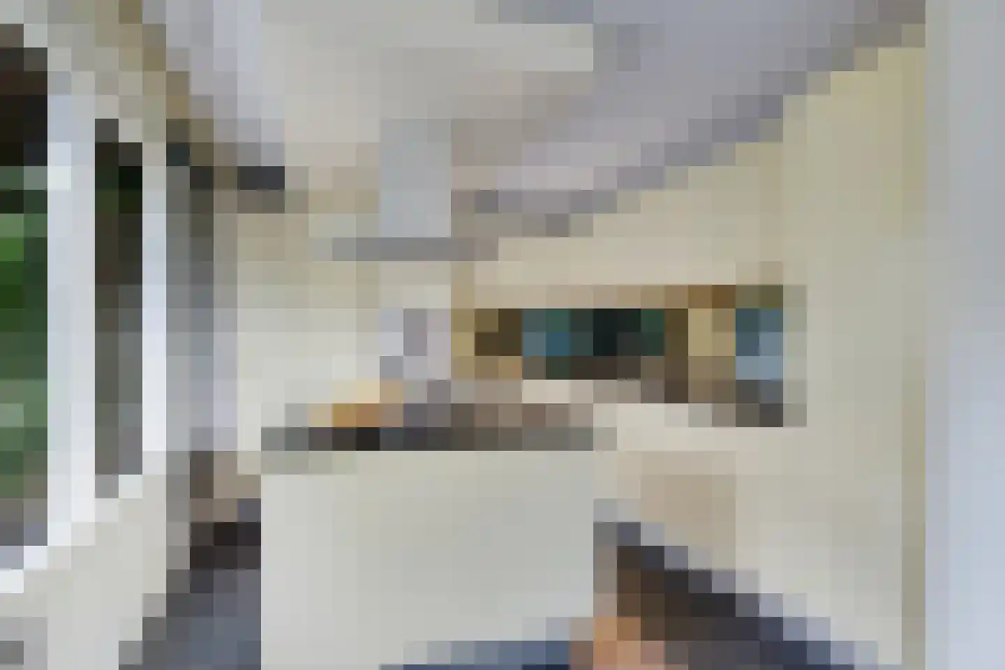 Agaatdreef 21 Emmen thumbnail 16