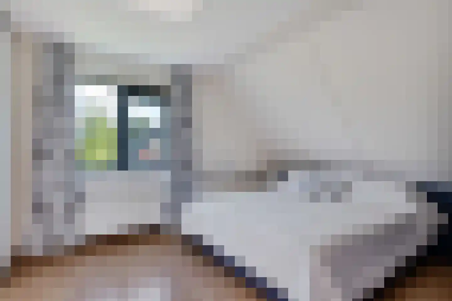 Agaatdreef 21 Emmen thumbnail 20