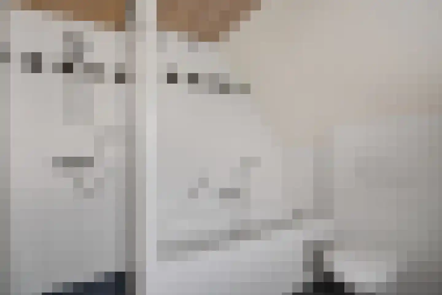 Agaatdreef 21 Emmen thumbnail 28