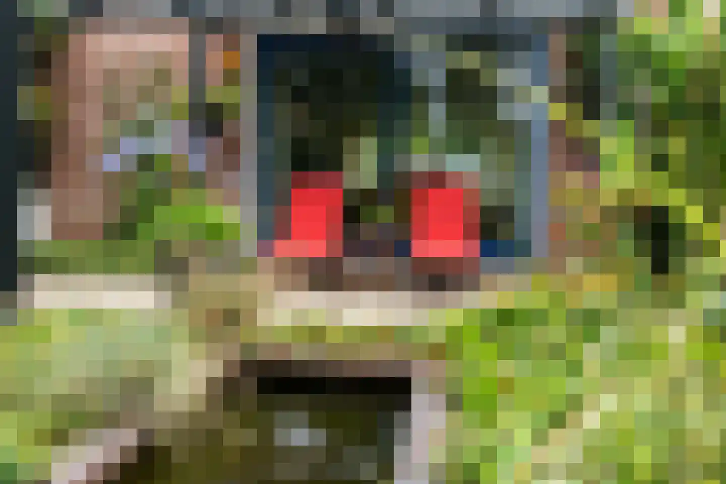 Agaatdreef 21 Emmen thumbnail 34