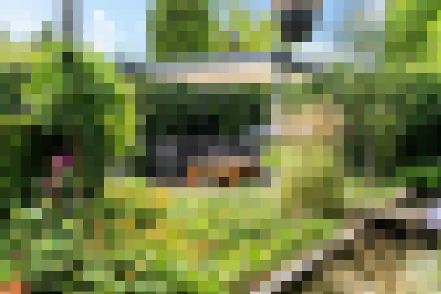 Agaatdreef 21 Emmen thumbnail 37