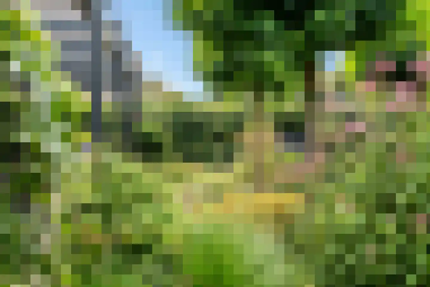 Agaatdreef 21 Emmen thumbnail 38