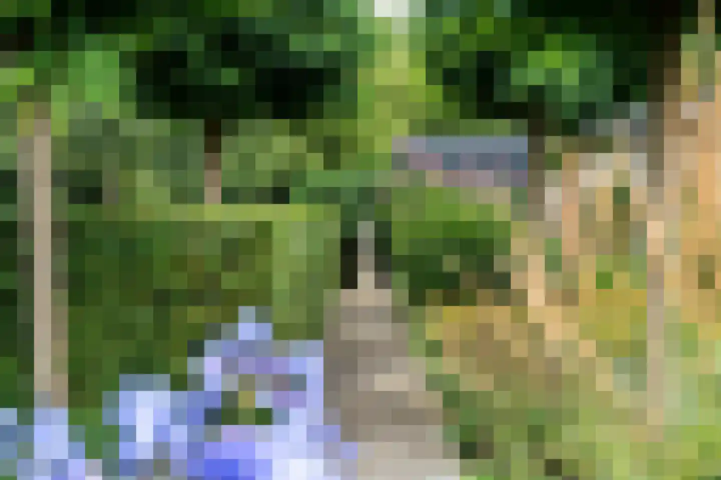 Agaatdreef 21 Emmen thumbnail 39