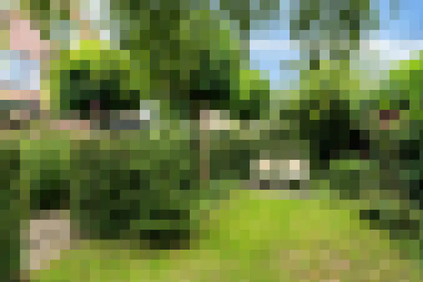 Agaatdreef 21 Emmen thumbnail 40