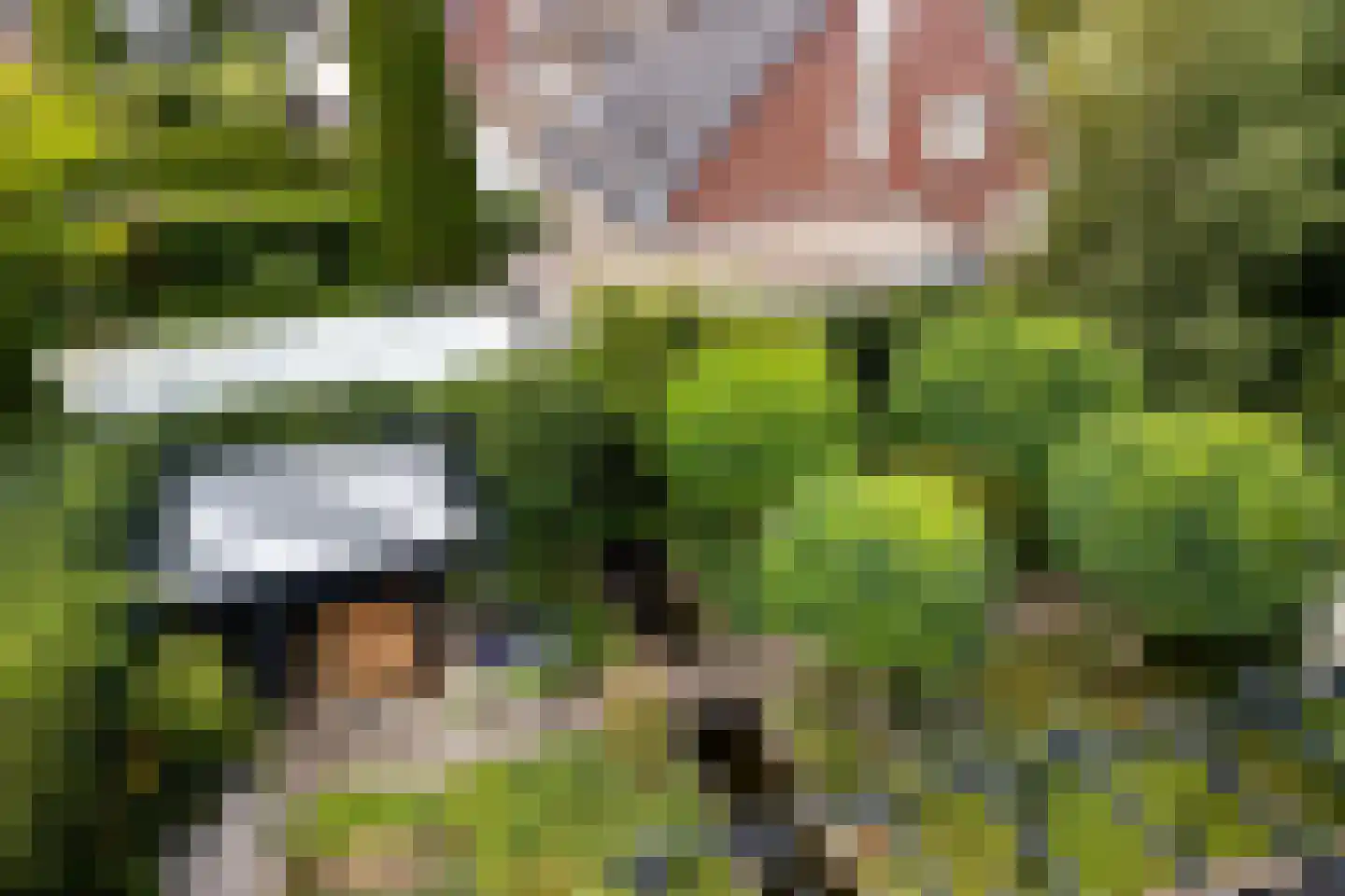 Agaatdreef 21 Emmen thumbnail 41