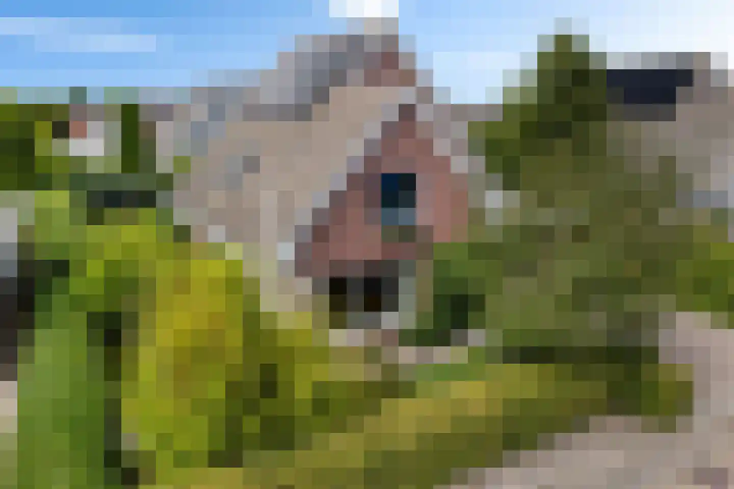 Agaatdreef 21 Emmen thumbnail 44