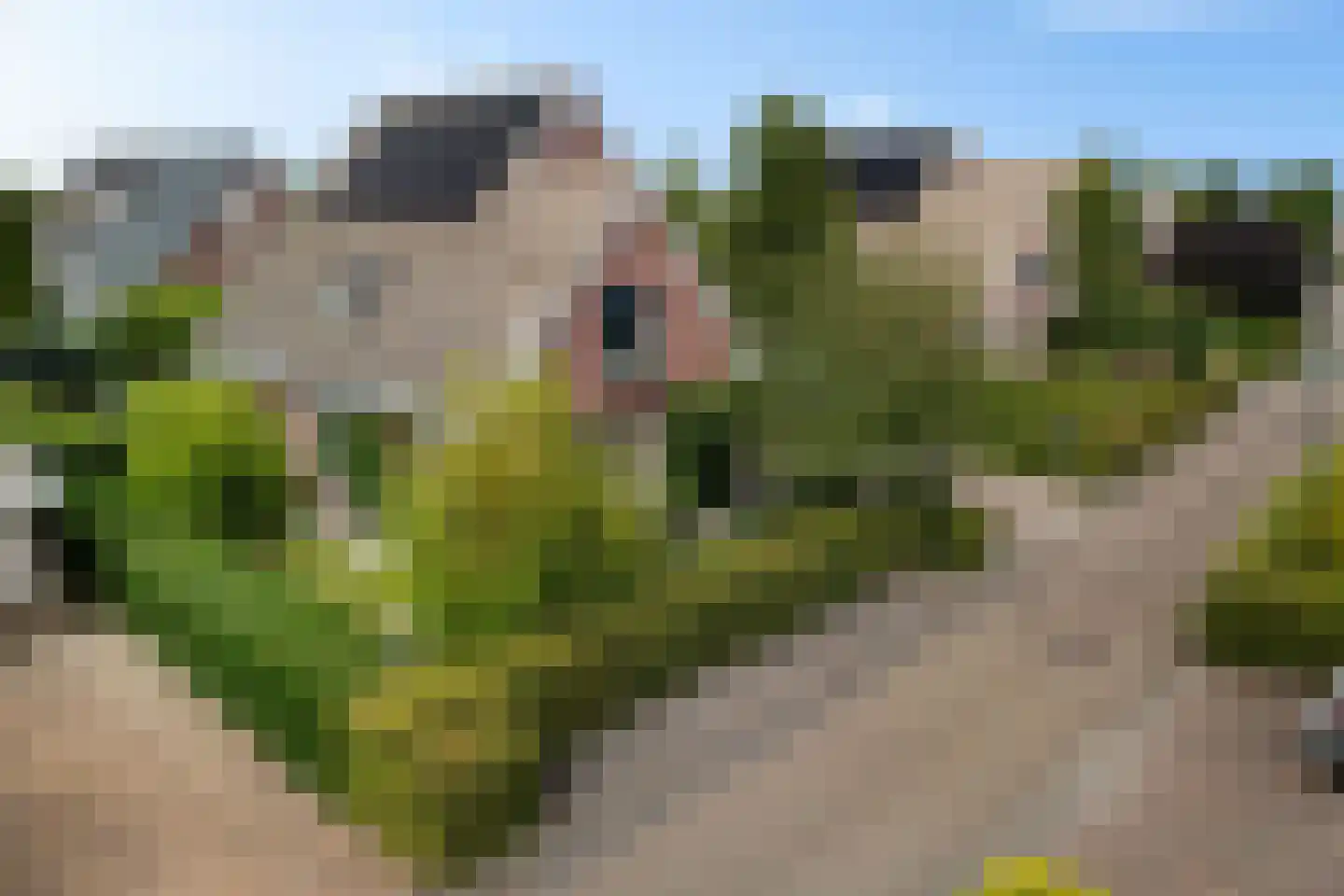 Agaatdreef 21 Emmen thumbnail 45