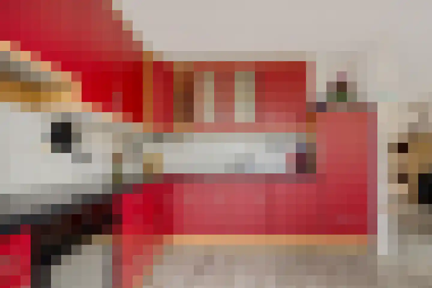 Agaatdreef 3 Emmen thumbnail 14