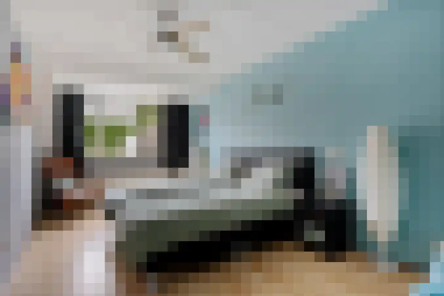 Agaatdreef 3 Emmen thumbnail 17