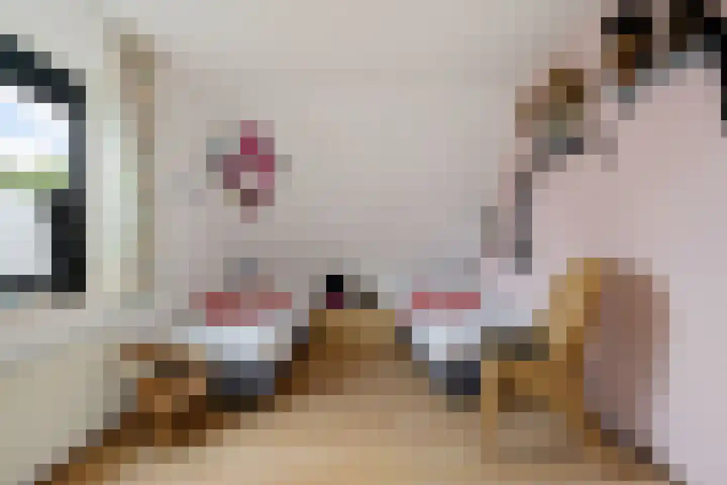 Agaatdreef 3 Emmen thumbnail 19