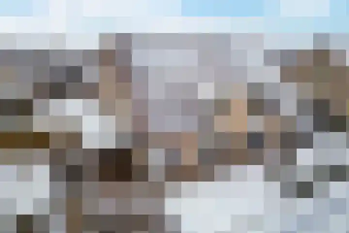 Agaatdreef 33 in Emmen