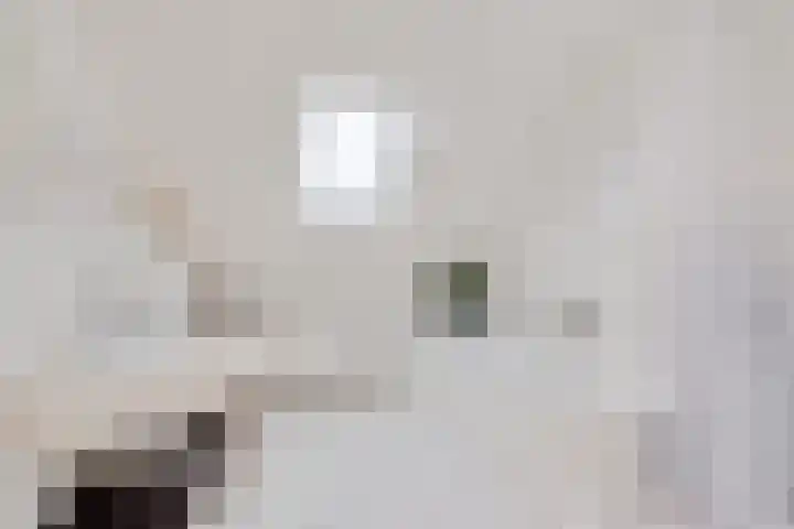 Agaatdreef 33 Emmen thumbnail 25