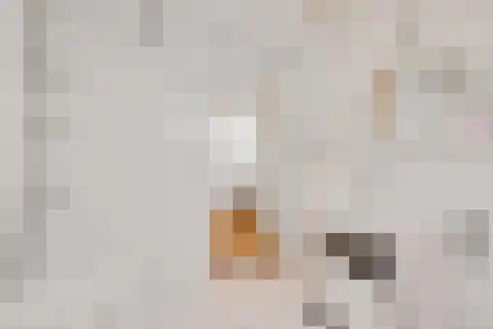Agaatdreef 33 Emmen thumbnail 27