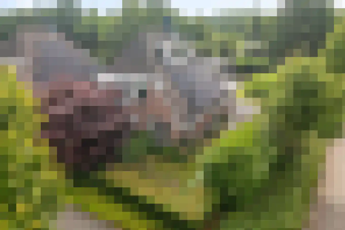 Agaatdreef 50 Emmen