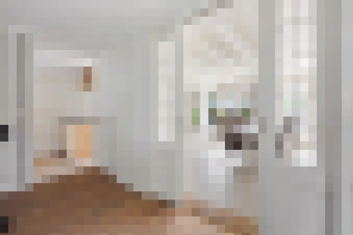Agaatdreef 50 Emmen thumbnail 11