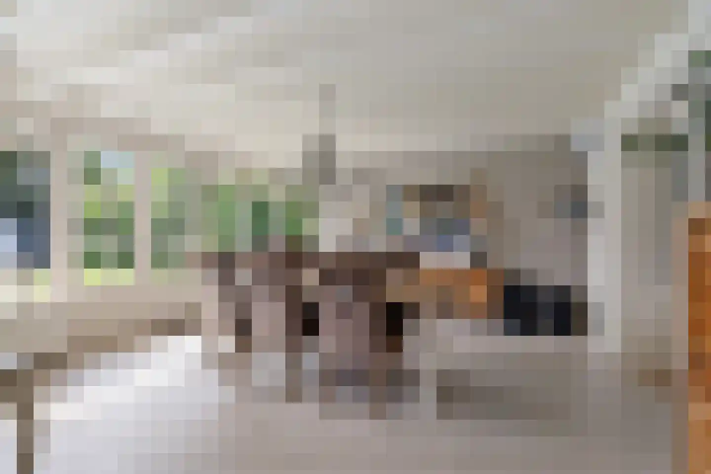 Agaatdreef 50 Emmen thumbnail 12