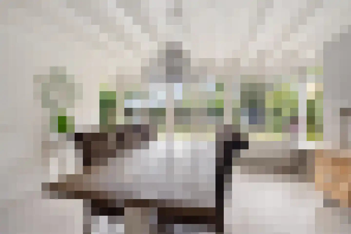 Agaatdreef 50 Emmen thumbnail 13