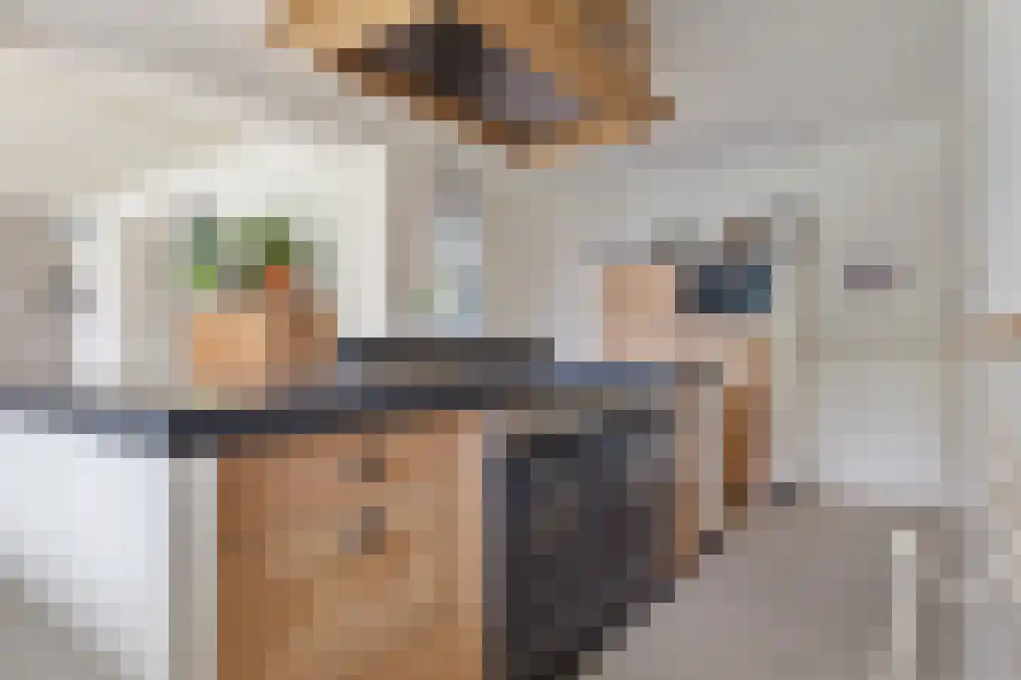 Agaatdreef 50 Emmen thumbnail 18
