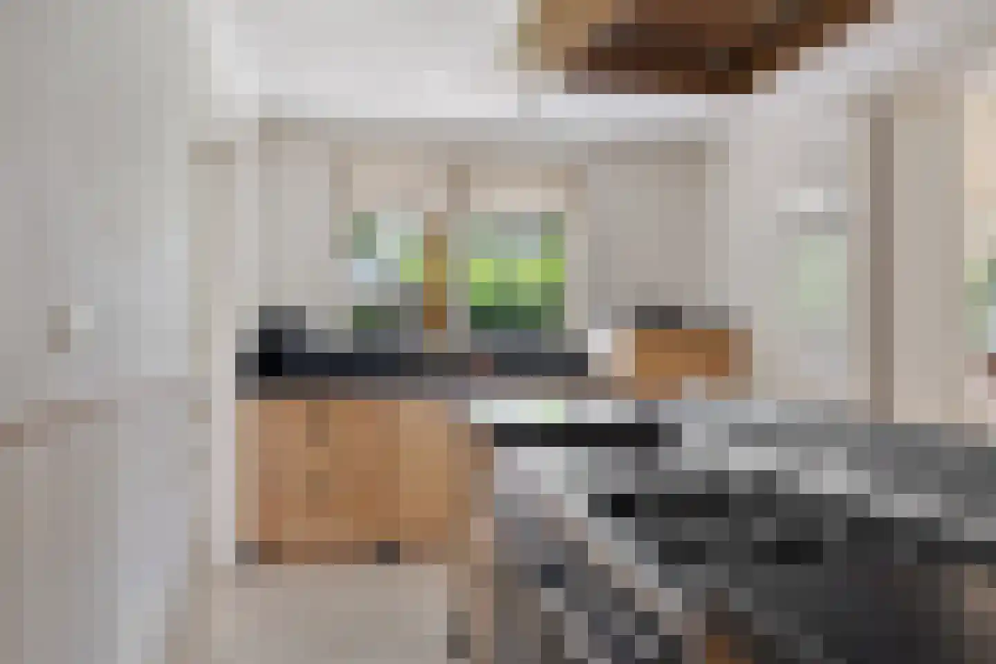 Agaatdreef 50 Emmen thumbnail 19