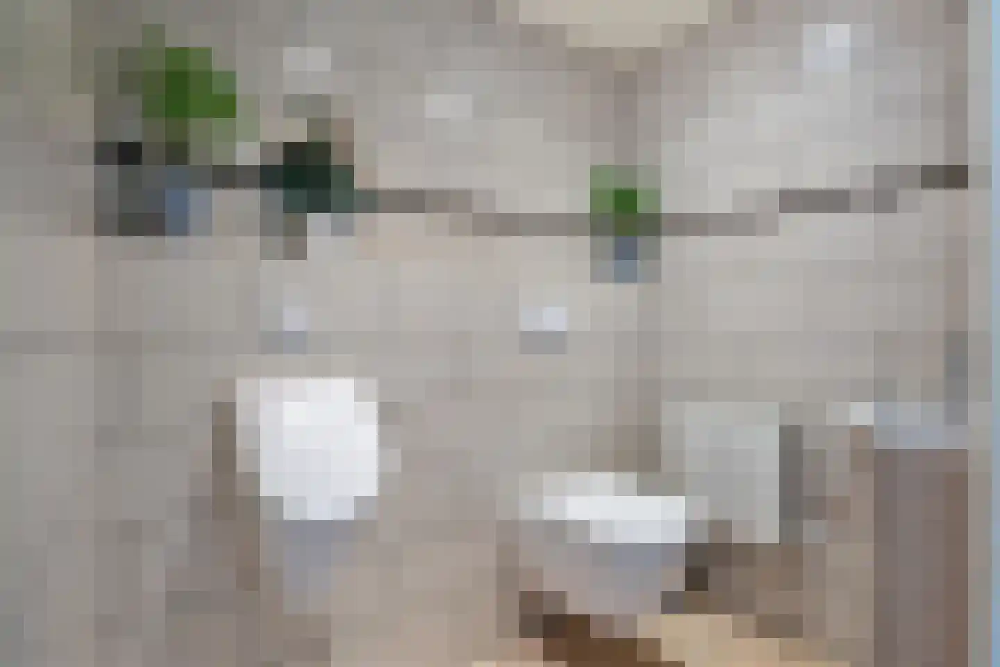 Agaatdreef 50 Emmen thumbnail 22