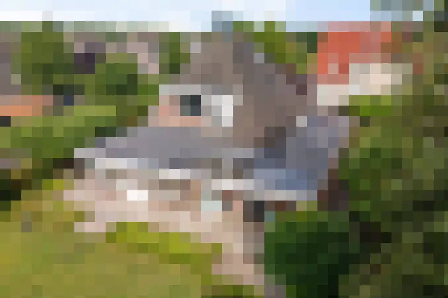 Agaatdreef 50 Emmen thumbnail 43
