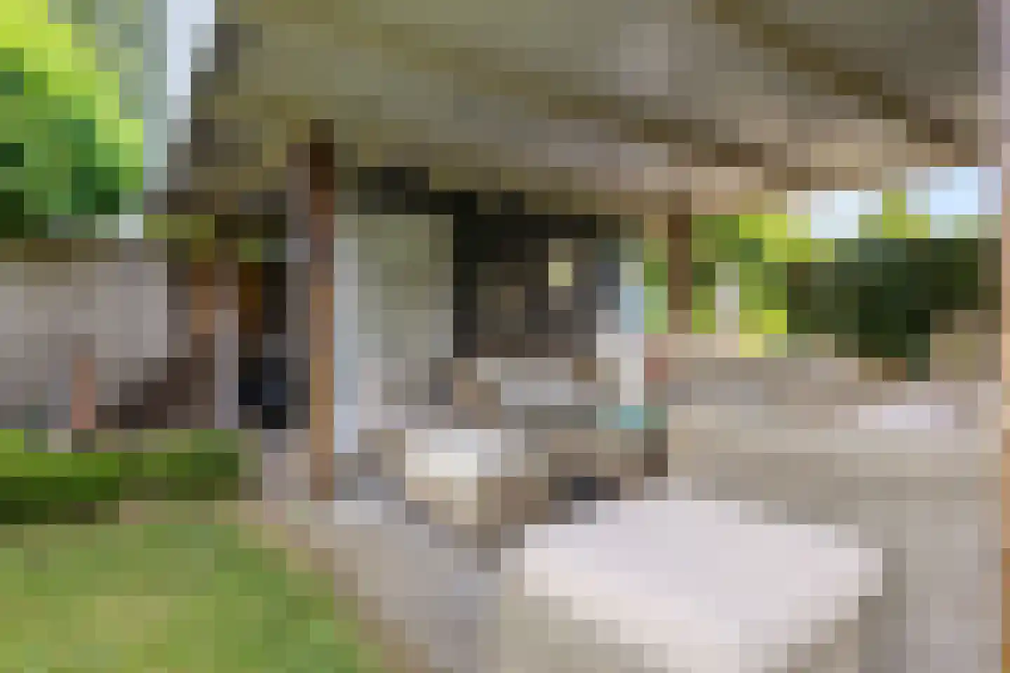 Agaatdreef 50 Emmen thumbnail 49