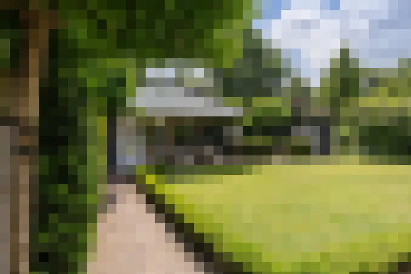 Agaatdreef 50 Emmen thumbnail 51
