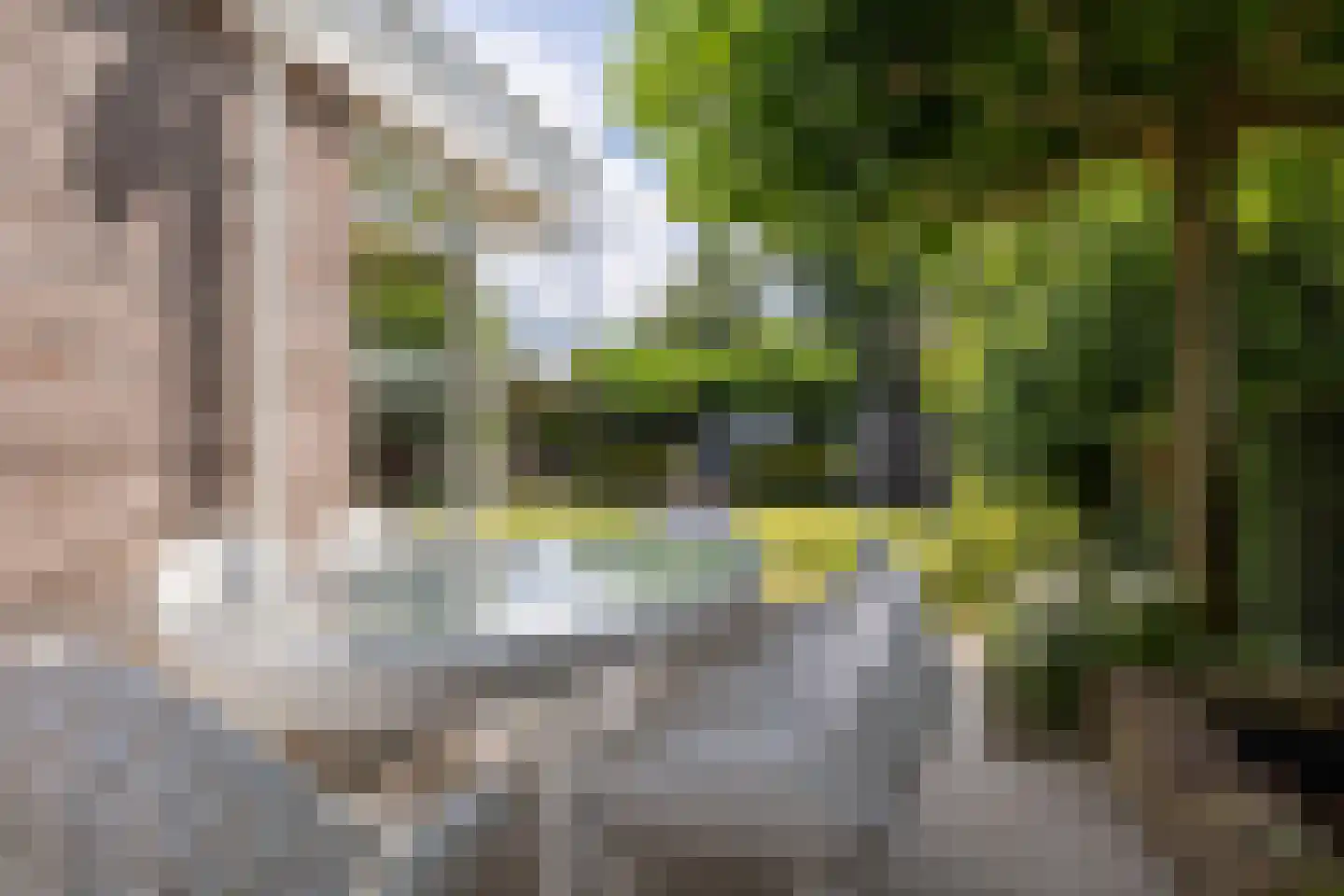 Agaatdreef 50 Emmen thumbnail 54