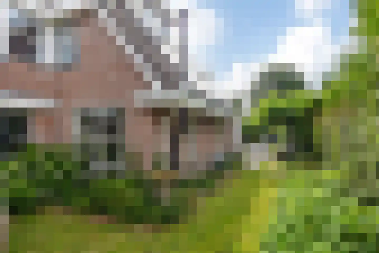 Agaatdreef 50 Emmen thumbnail 55