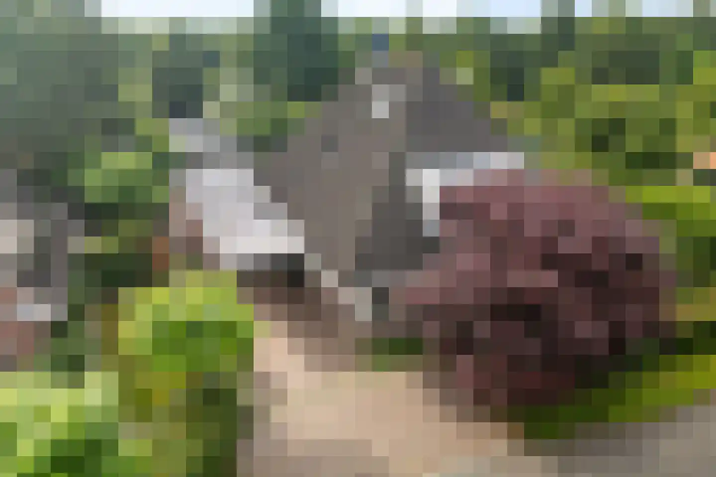 Agaatdreef 50 Emmen thumbnail 57