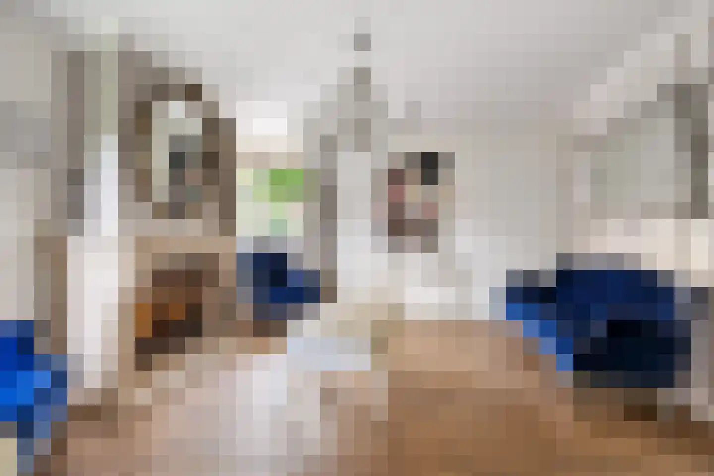 Agaatdreef 50 Emmen thumbnail 6