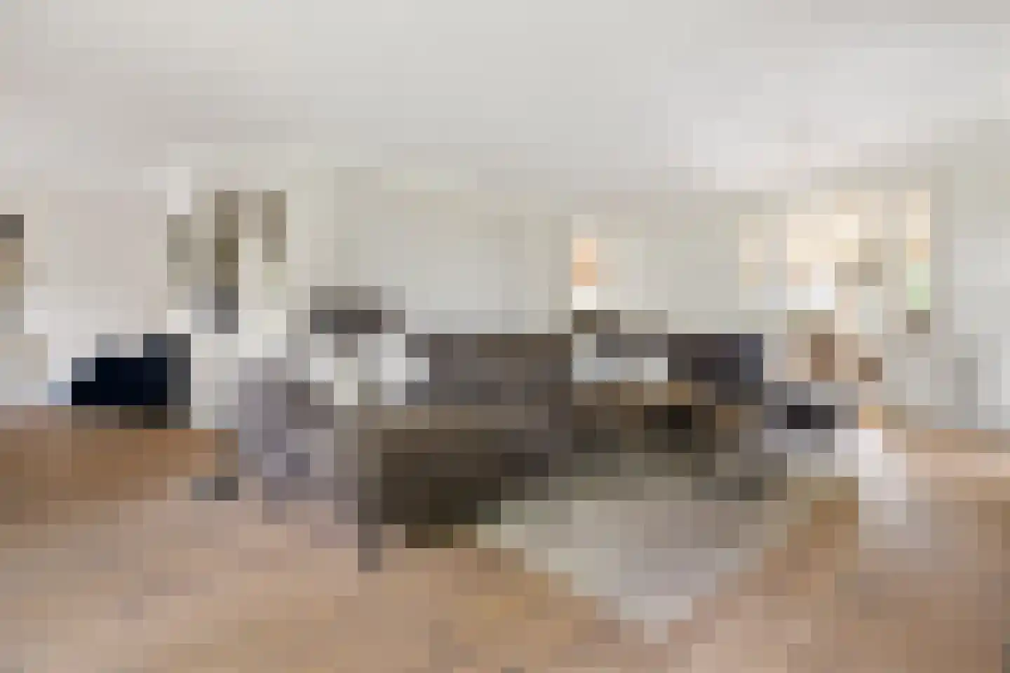 Agaatdreef 50 Emmen thumbnail 7