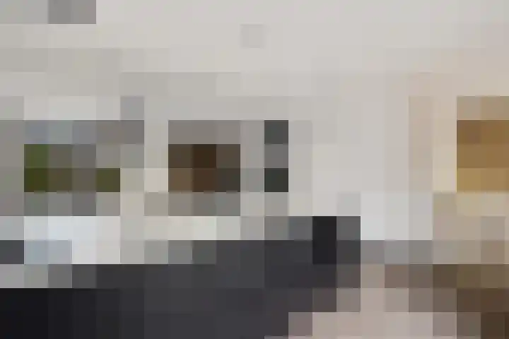Agaatdreef 60 Emmen thumbnail 10